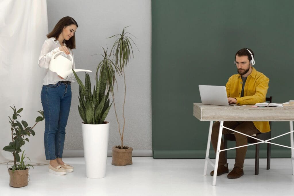 indoor plants air quality