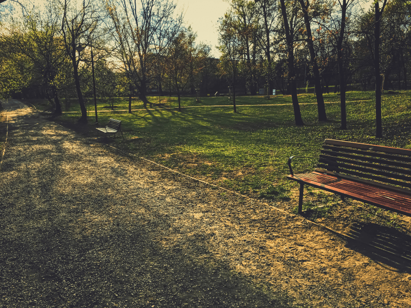 empty park in pandemic