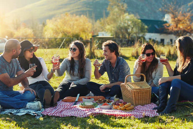 co-workers on a picnic